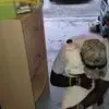 Timothy Hills - @timothy.hills5 - TikTok