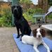 Timothy Hopwood - Facebook