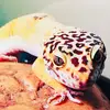 Timothy.Good - @timothy.good - TikTok
