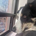 Timothy Hoffman - @timbot5000 - Instagram