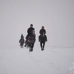 Timothy Hogg - @timothyhogg5 - Instagram