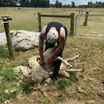 Timothy Hogg - @cuteflyer2010 - Instagram