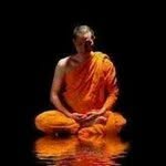 @timothy.hookscoe - Instagram