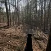 Tim Howe - @tim.howe - TikTok