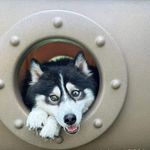 Timothy Hoyt - @sttmh01 - Instagram