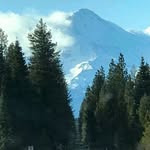 Timothy Humphreys - @timothyhumphreys4 - Instagram