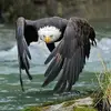 Timothy Humphreys - @timothy.humphreys8 - TikTok