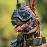 Timothy Hutson - @hutson6020 - Instagram