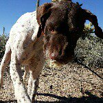 Timothy Howard Hutton - @spatzrunsfast - Instagram