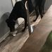 Timothy Hyche - Facebook