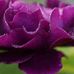 Timothy Jaeger - Facebook