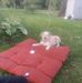 Timothy Jaeger - Facebook