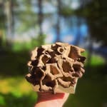 Timothy jeffrey - @timothyjeffrey777 - Instagram