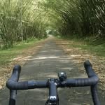 Timothy Jeffrey - @timothyjeffrey2 - Instagram