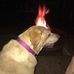 Timothy Jensen - Facebook