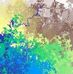 Timothy Jensen - Facebook