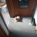 Timothy Jerome - Facebook
