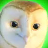 Timothy Johnson - @timothy.johnson2414 - TikTok