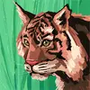 Timothy Junior - @timothy.junior0 - TikTok