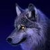 Timothy Karpp - Facebook