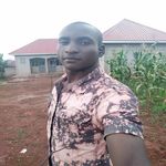 Timothy Kaye - @timothykaye3 - Instagram
