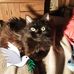 Timothy Kelleher - Facebook