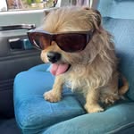 timothy Lee Kendall - @swillguy - Instagram