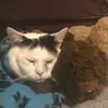 timothykendall9797 - @timothykendall979 - TikTok