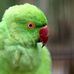 Timothy Kettle - Facebook