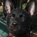 Tim Kiesling - Facebook