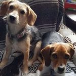 Timothy Killian - @killiantimothy - Instagram