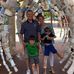 Timothy Kinsella - Facebook