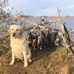 Tim Knudson - Facebook