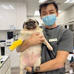 Timothy Koh - @timxum - Instagram