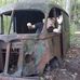 Timothy Lampe - Facebook