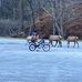 Timothy LaRue - Facebook
