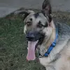 Timothy LaRue - @timothy.larue - TikTok