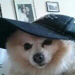 Timothy Lau - @tim2770 - Instagram