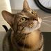 Timothy Leap - Facebook
