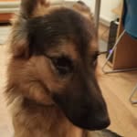 David Šimek - @timothy_leary_znedakonic - Instagram