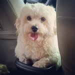 Timothy Sia Ledesma - @timothyledesma - Instagram