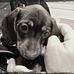 Timothy Leeper - Facebook