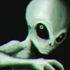 TimothyAlien - @timothyalien2 - TikTok
