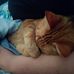 Timothy Lindeen - Facebook