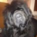 Timmy Linnell - Facebook