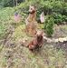 Timothy Lockard - Facebook