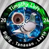 TIMOTHY LOFT - @timothyloft - TikTok
