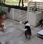 Timothy Longfellow - Facebook