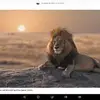 timothyloving - @timothyloving - TikTok