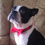 Timothy Lundell - @timothy.lundell.3 - Instagram
